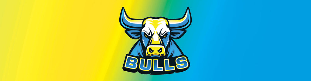 Shellharbour City Bulls