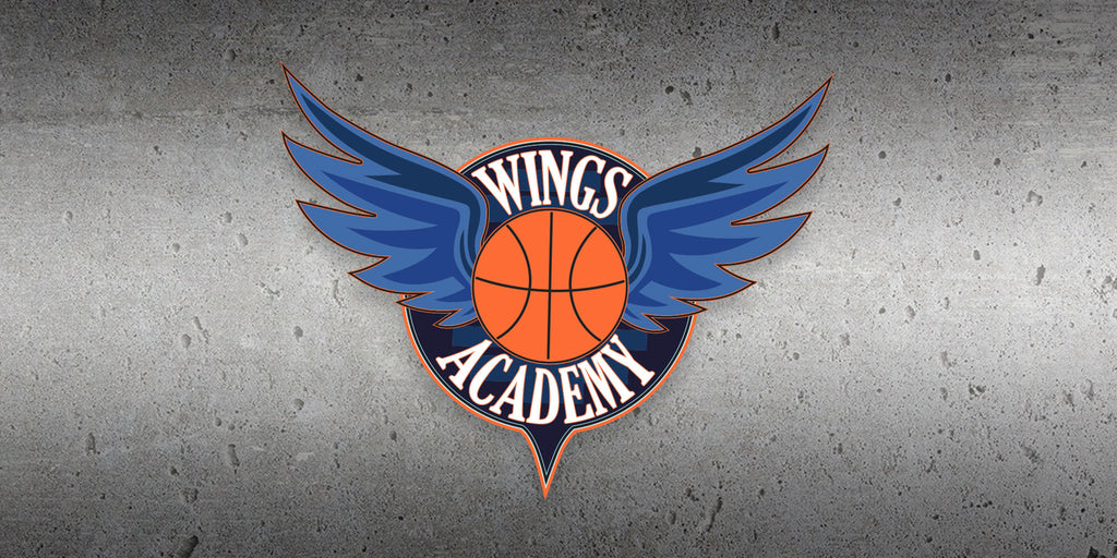 Wings Academy